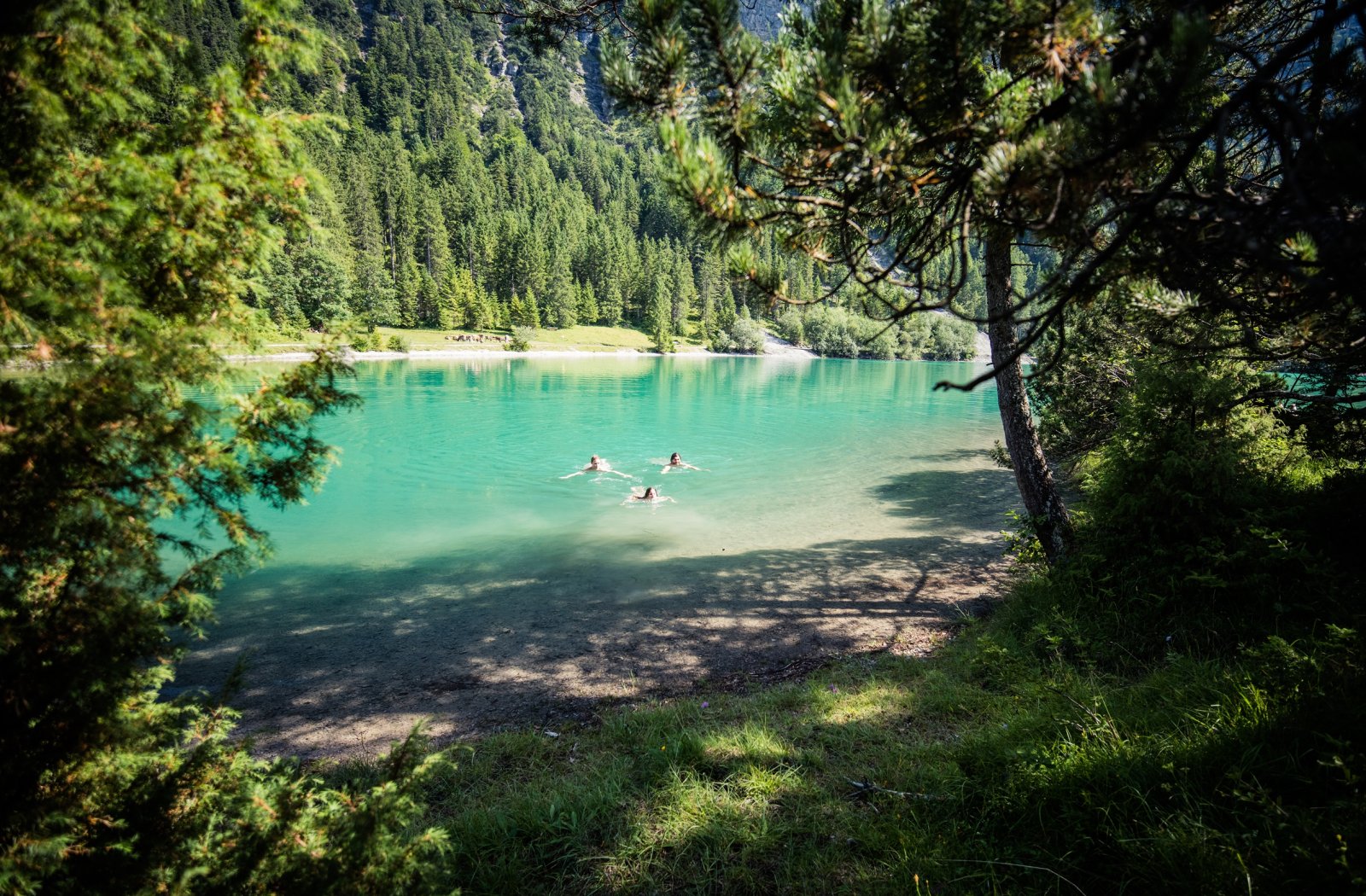 tza_sommer_1_17_jpg-31.jpg