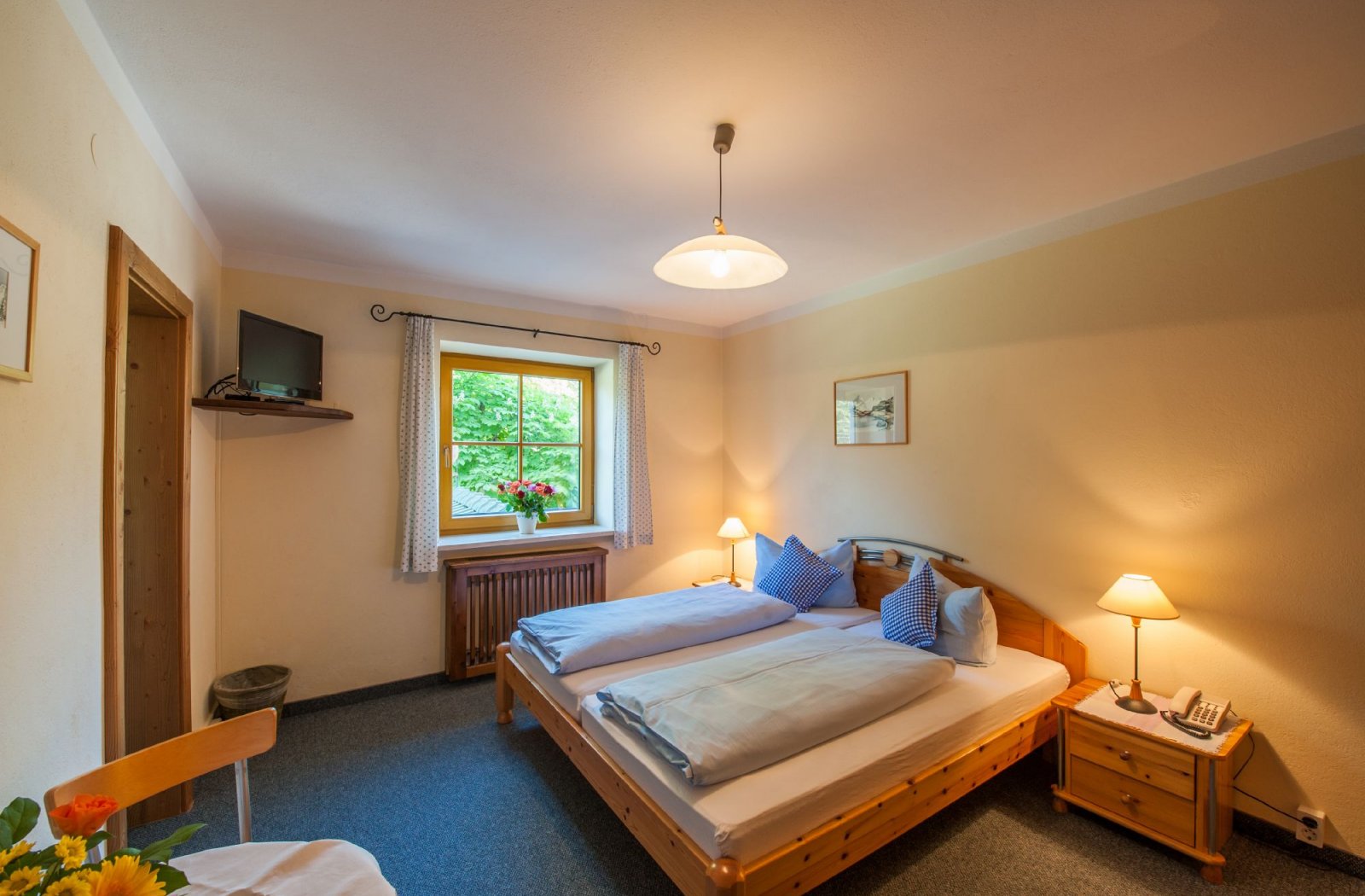 DZ Distelspitz DZ Distelspitz