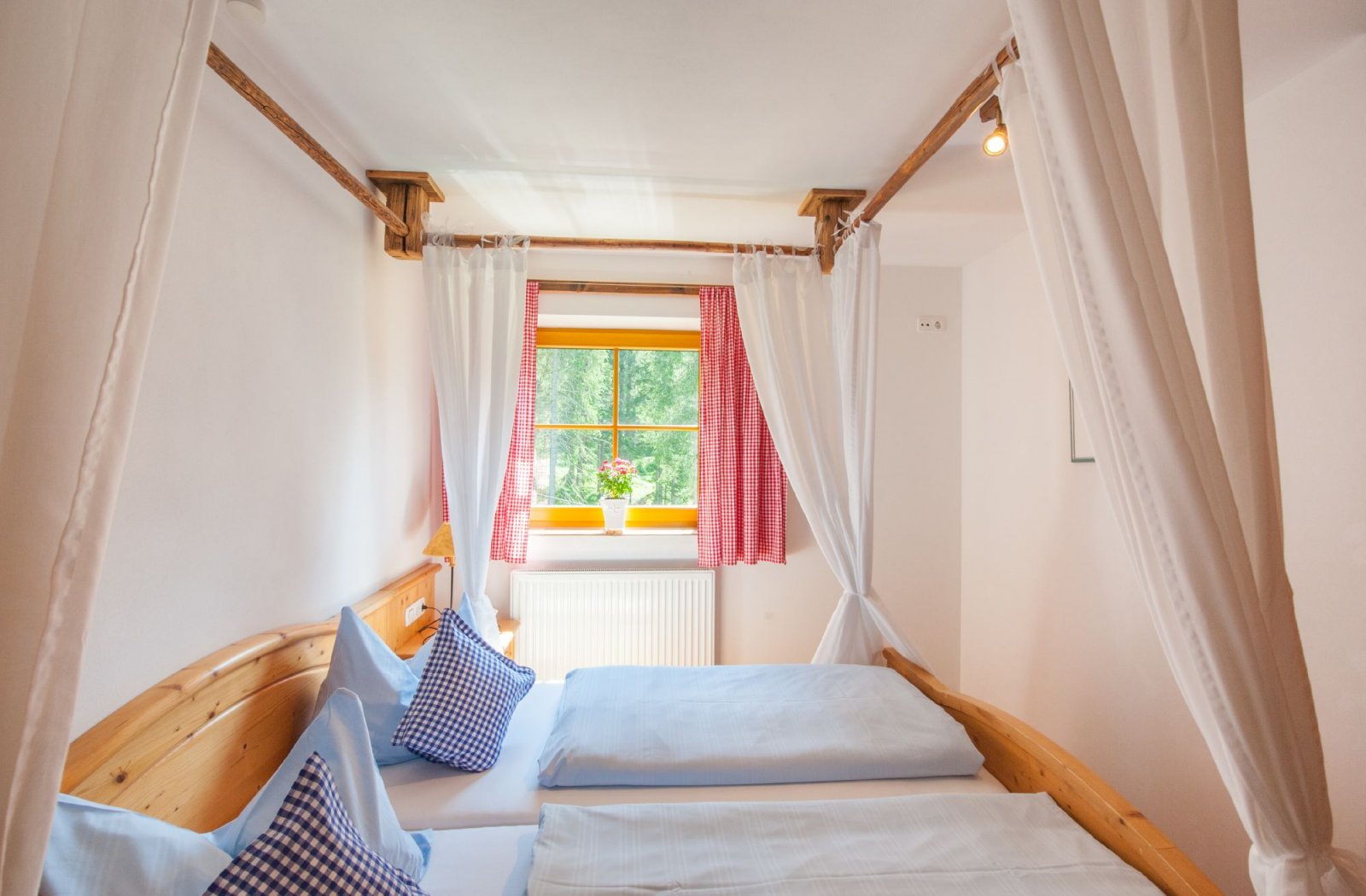 _dsc6716.jpg _dsc6716.jpg